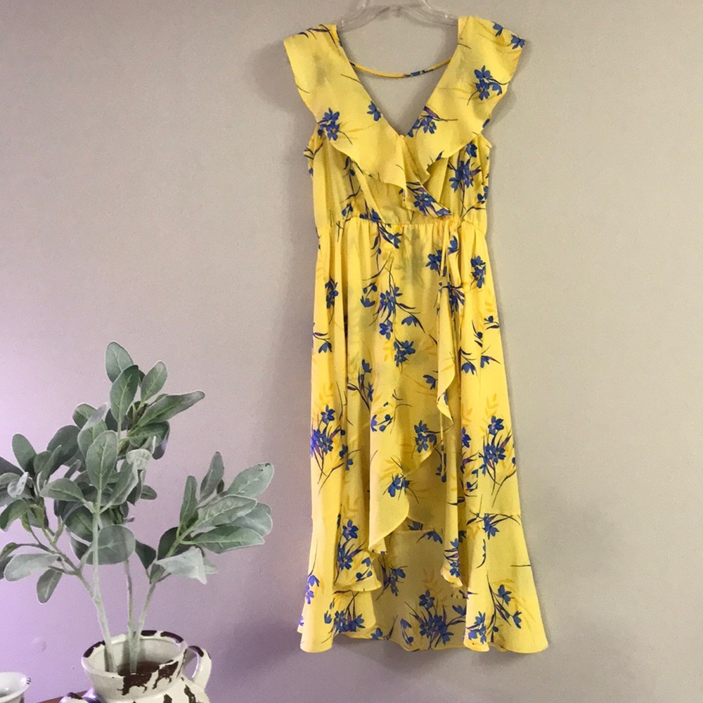 Beautiful Nordstrom Socialite Dress